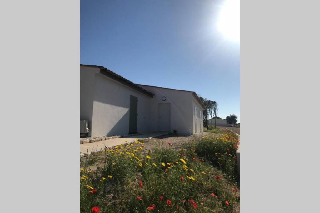 Bonifacio 3Mn Du Port! Villa Piscine Chauffee ,Clim,Wifi エクステリア 写真